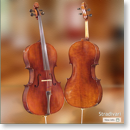 Shen Stradivari Maple